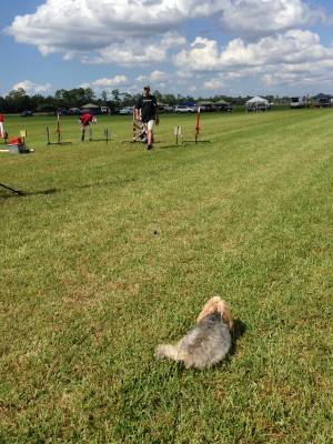 Oscar Watching People Prep for Launch