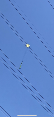 Arcas in powerlines