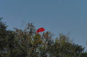 Estes Screaming Eagle